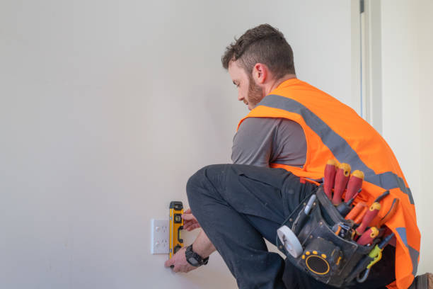 Best Electric Panel Repair  in Tracy, MN