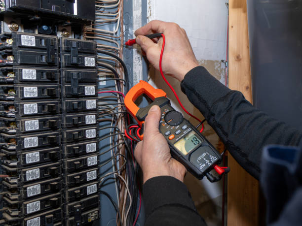 Best Ceiling Fan Installation Electrician  in Tracy, MN